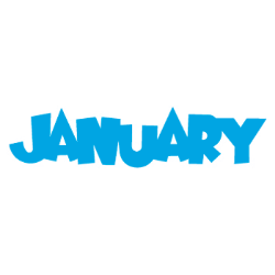 st augustine beach vacation rentals january 2019